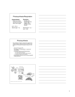 Photosynthesis/Respiration Photosynthesis