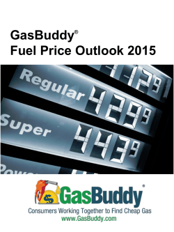 Annual Gasoline Price Outlook 2015