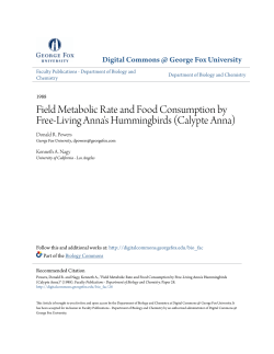 Field Metabolic Rate and Food Consumption by Free