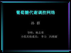 葡萄糖代谢调控网络