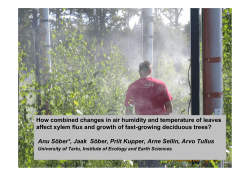 How combined changes in air humidity and temperature affect xylem