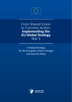 Implementing the EU Global Strategy Year 1 report