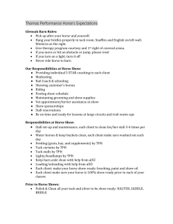 Thomas Performance Horse`s Expectations
