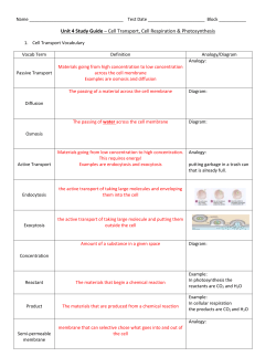 Name Test Date Block ______ Unit 4 Study Guide &ndash; Cell Transport
