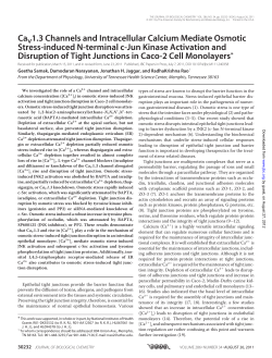CaV 1.3 Channels and Intracellular Calcium Mediate Osmotic Stress