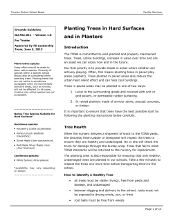 Planting Trees in Hard Surfaces and in Planters