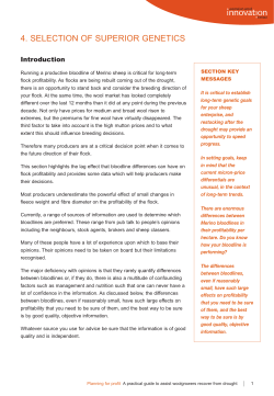 Planning for Profit - Australian Wool Innovation