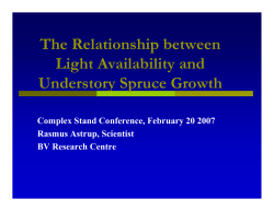 The Relationship between Light Availability and Understory Spruce