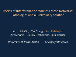 Effects of Interference on Wireless Mesh Networks