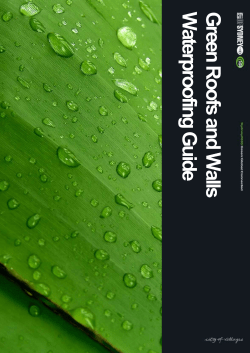 Corp Brand 2 column Report Word Template