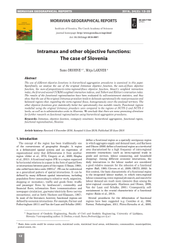 Intramax and other objective functions: The case of Slovenia
