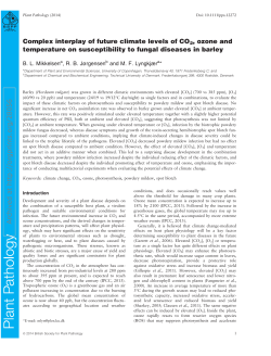 Complex interplay of future climate levels of CO2, ozone and