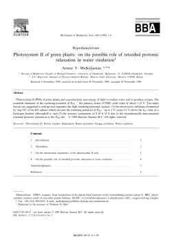 Photosystem II of green plants: on the possible role of retarded