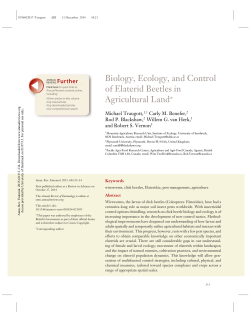 Biology, Ecology, and Control of Elaterid Beetles in Agricultural Land