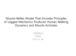 Muscle-Reflex Model That Encodes Principles of