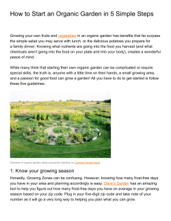How to Start an Organic Garden in 5 Simple Steps