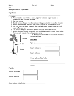 Name: : : Nitrogen fixation experiment Hypothesis: Procedure: At