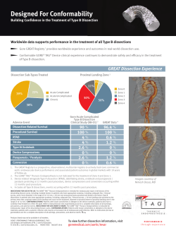 Dissection Flyer - English