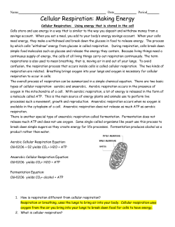 Photosynthesis Worksheet