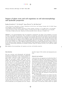 Impact of plant roots and soil organisms on soil - PC