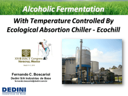 Alcoholic Fermentation - Dedini S/A Ind&uacute;strias de Base