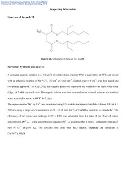 Supporting Information Structure of Aerosol