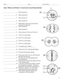 Take-Home Quiz on Mitosis and Meiosis (click link here)
