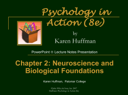 Biopsychology, Neuroscience, Physiological Psychology: