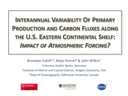 Eastern U.S. Continental Shelf Carbon Budget: Modeling, Data