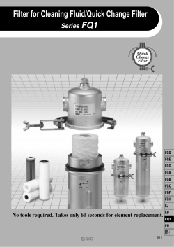 Filter for Cleaning Fluid/Quick Change Filter