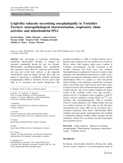 Leigh-like subacute necrotising encephalopathy in Yorkshire Terriers