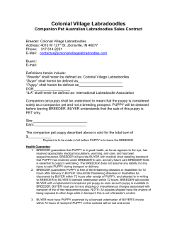 Puppy Contract - Colonial Village Labradoodles