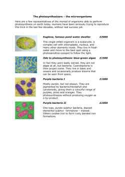 RI 2015 exhibition legends Sunday 25 &ndash; price list