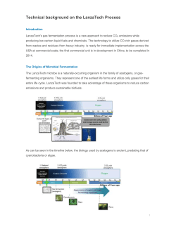Technical background on the LanzaTech Process - ARPA