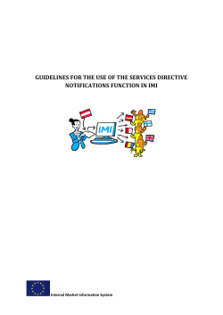 guidelines for the use of the services directive notifications function