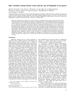 Rate Variation Among Nuclear Genes and the