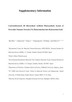 Supplementary Information Leaf-architectured 3D Hierarchical