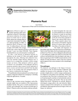 Plumeria Rust - College of Tropical Agriculture and Human Resources