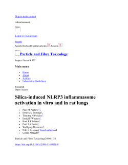 Silica-induced NLRP3 inflammasome activation in vitro and in rat