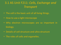 3.1 AS Unit F211: Cells, Exchange and Transport