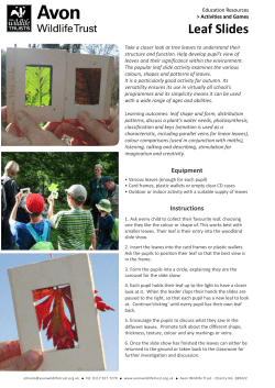 Leaf Slides - Avon Wildlife Trust