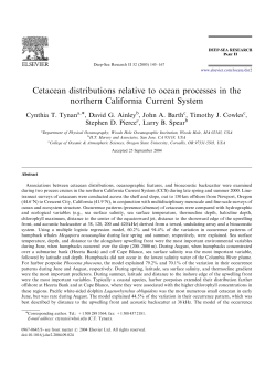 Cetacean distributions relative to ocean processes in the northern