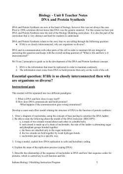 DNA Replication Worksheet