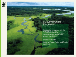EU Timber Regulation: The Road Toward Successful