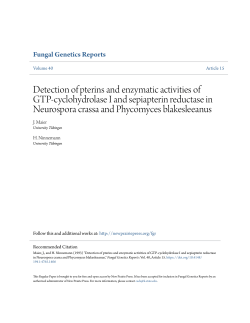Detection of pterins and enzymatic activities of