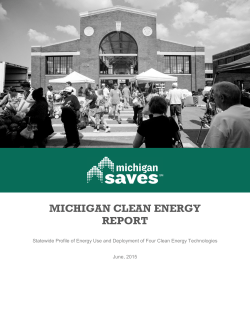 Michigan Clean Energy Report