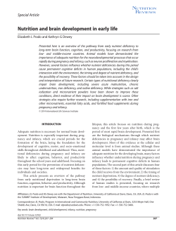 Nutrition and brain development in early life