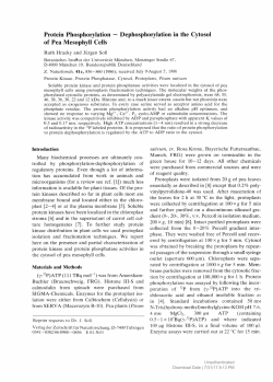 Protein Phosphorylation &mdash;Dephosphorylation in the