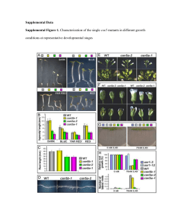 Plant Material and growth conditions