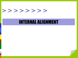 Strategic Choices in Designing Internal Structures